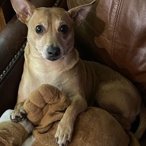 Meet your Posher, Summer